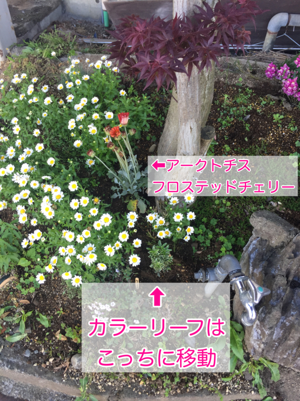 f:id:zbrr:20170528210437j:plain f:id:zbrr:20170528210437j:plain