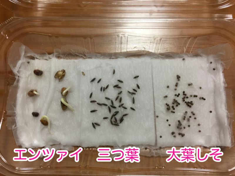 f:id:zbrr:20170601045448j:plain f:id:zbrr:20170601045448j:plain