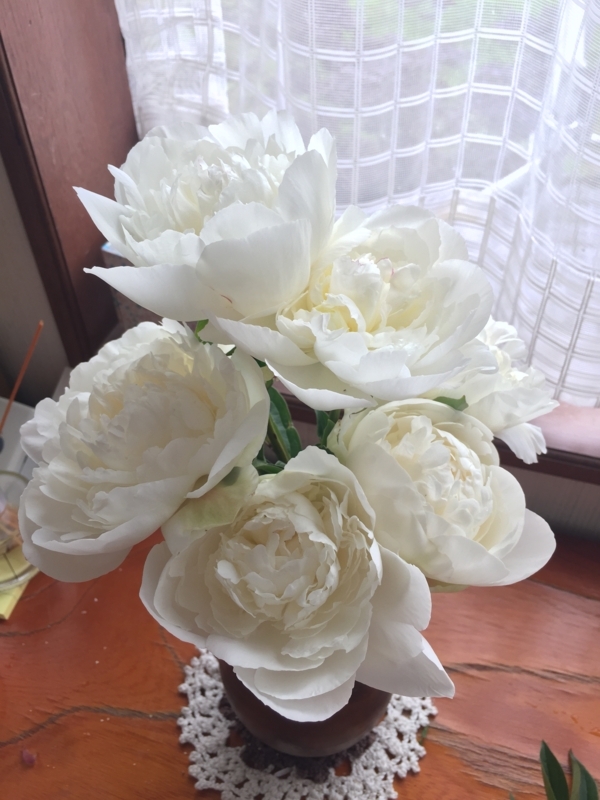 f:id:zbrr:20170601141538j:plain f:id:zbrr:20170601141538j:plain