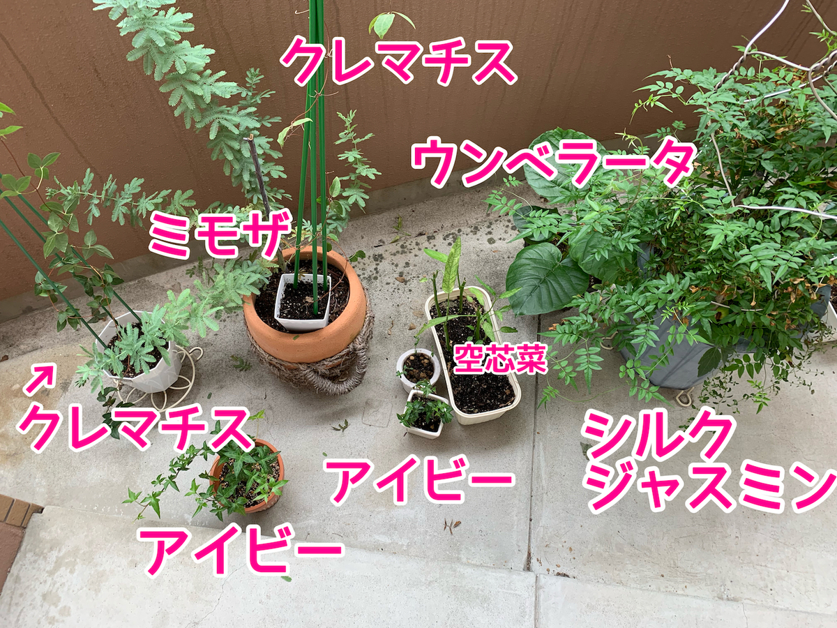 f:id:zbrr:20190715155202j:plain f:id:zbrr:20190715155202j:plain