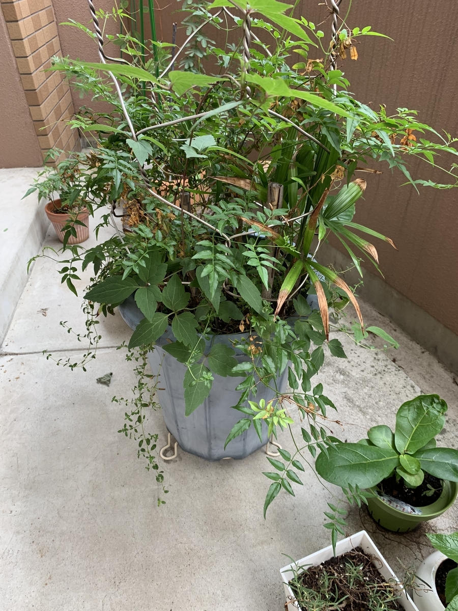 f:id:zbrr:20190715155402j:plain f:id:zbrr:20190715155402j:plain