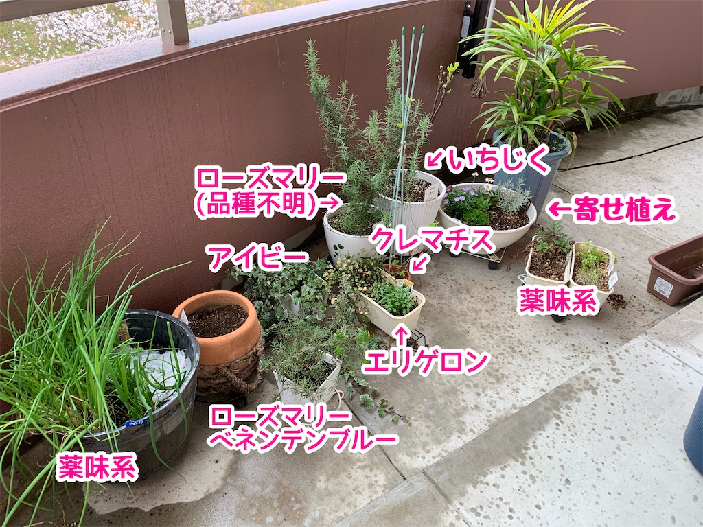 f:id:zbrr:20210328220311j:image f:id:zbrr:20210328220311j:image
