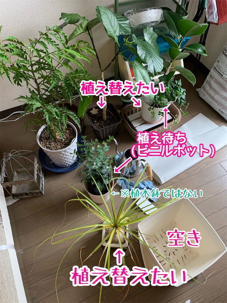 f:id:zbrr:20210328222133j:image f:id:zbrr:20210328222133j:image