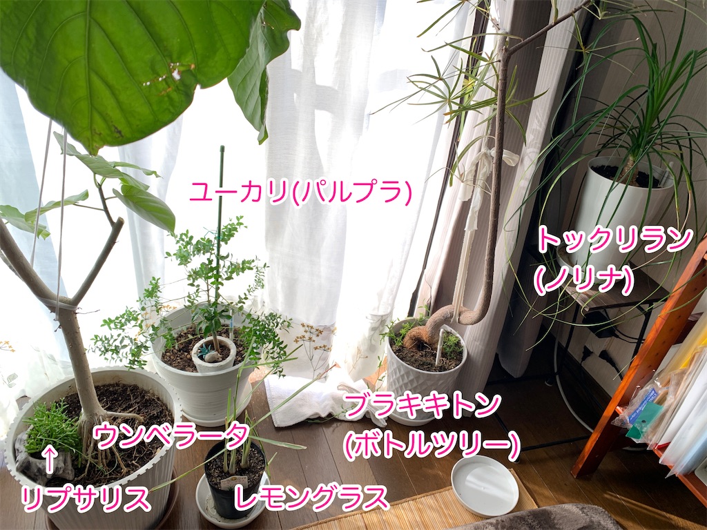 f:id:zbrr:20240320085721j:image f:id:zbrr:20240320085721j:image