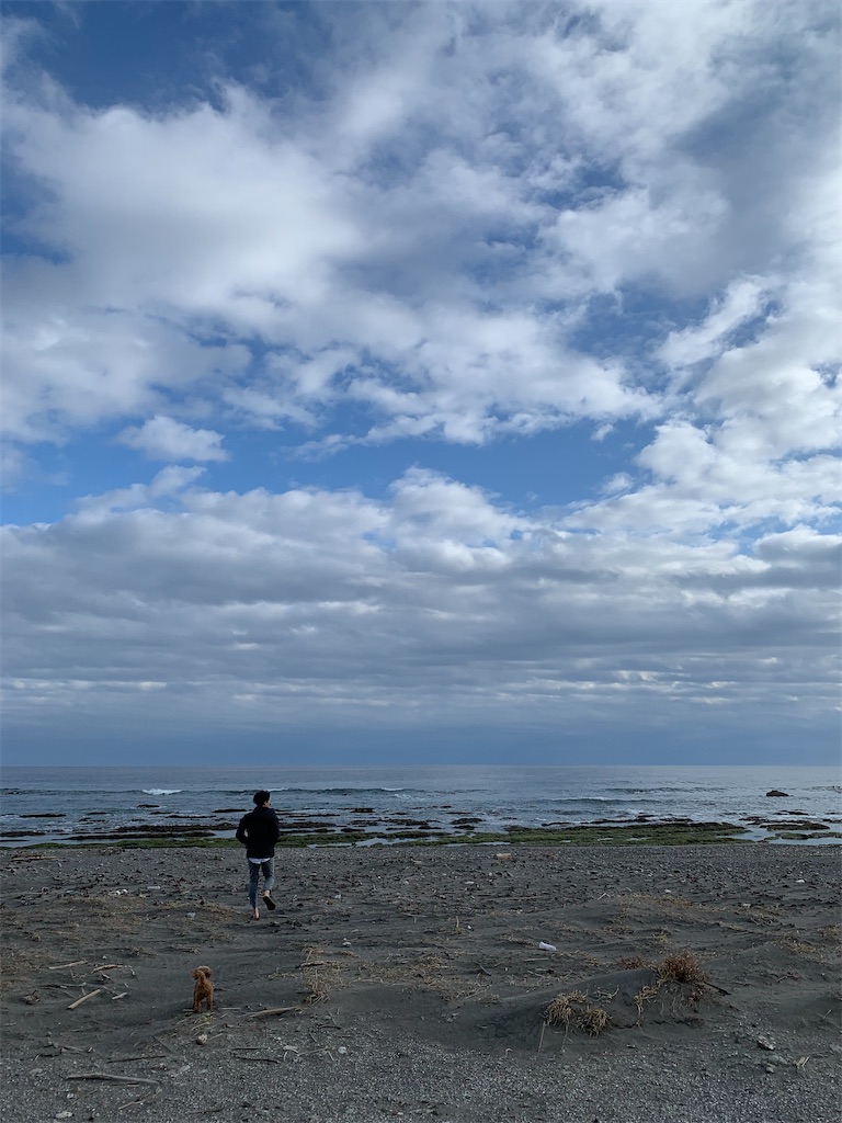 f:id:zdaiha:20230305112508j:image