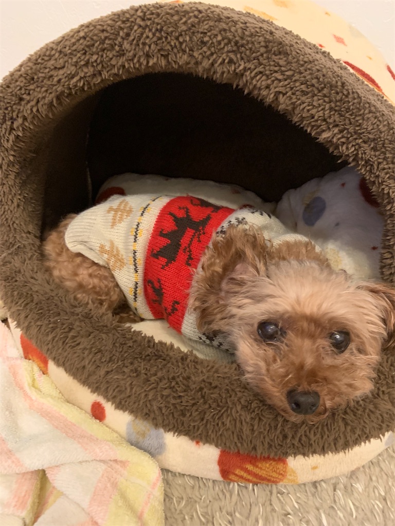 f:id:zdaiha:20231028132107j:image f:id:zdaiha:20231028132107j:image