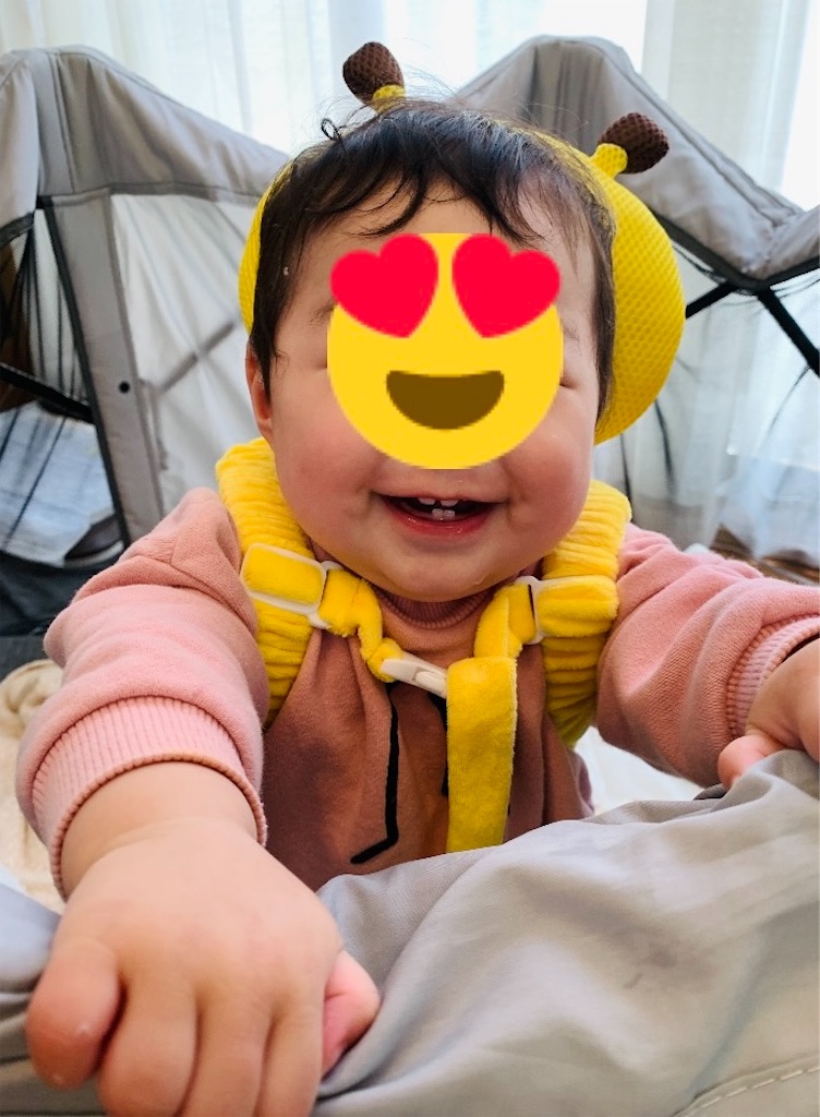 f:id:zdaiha:20250529120102j:image