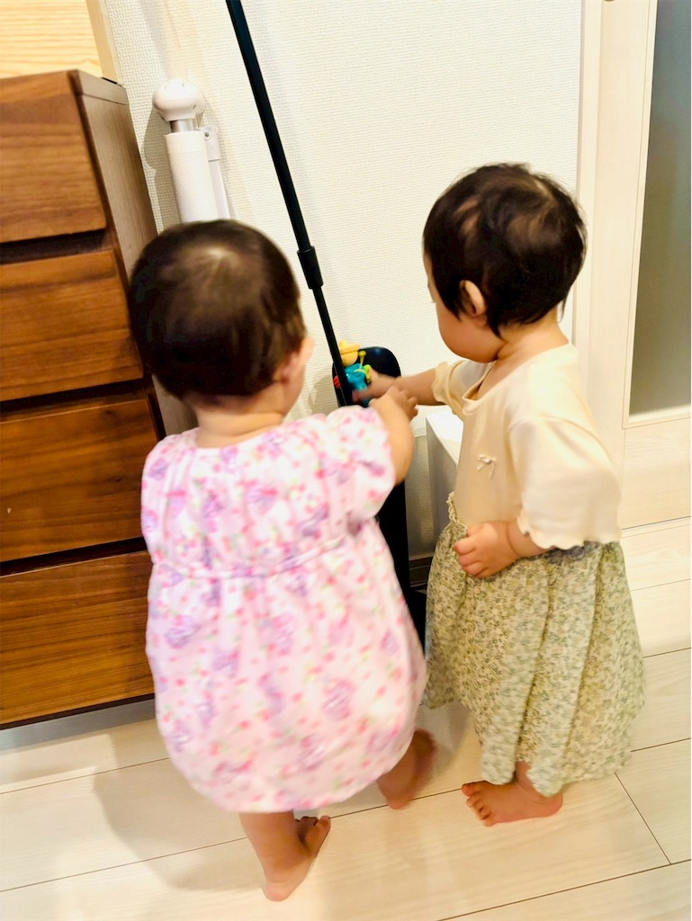 f:id:zdaiha:20251014162115j:image