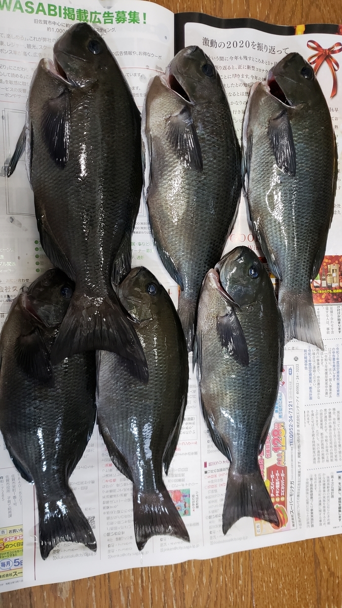 f:id:zdhagakure:20201201194956j:plain