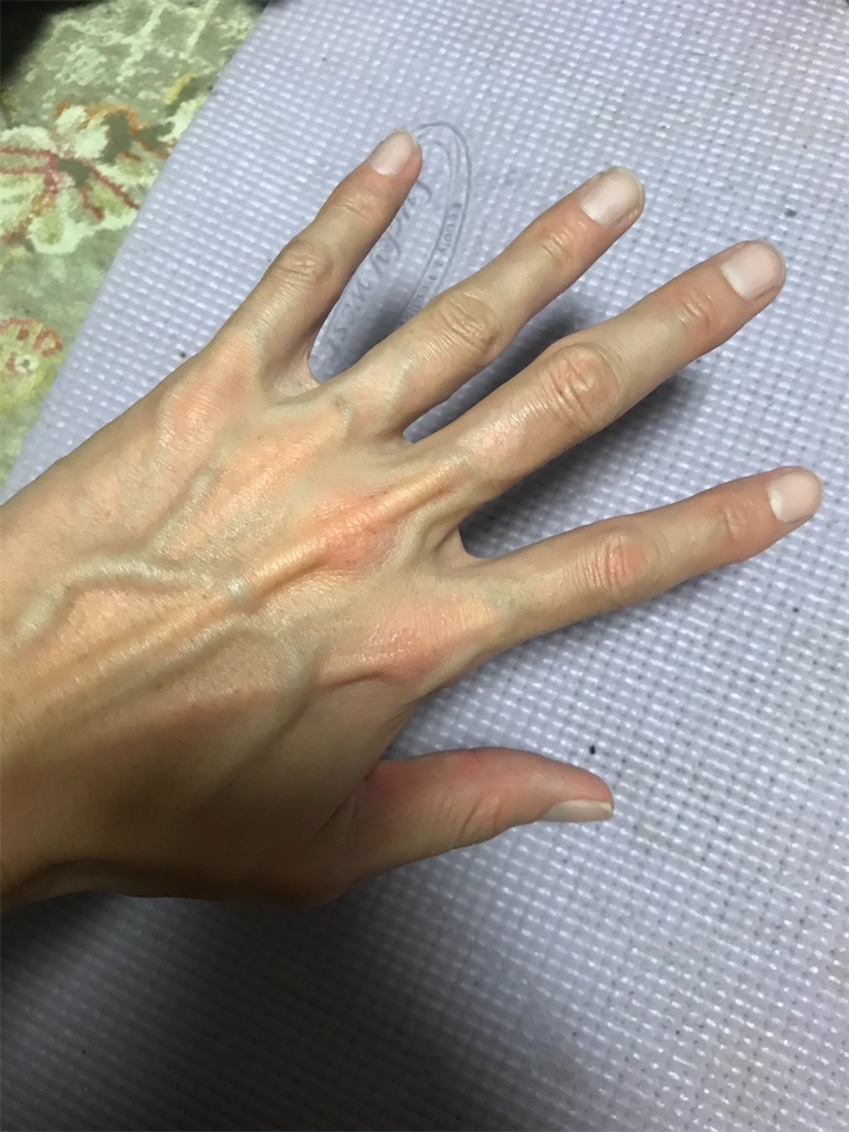 f:id:zdriving:20200313183130j:image