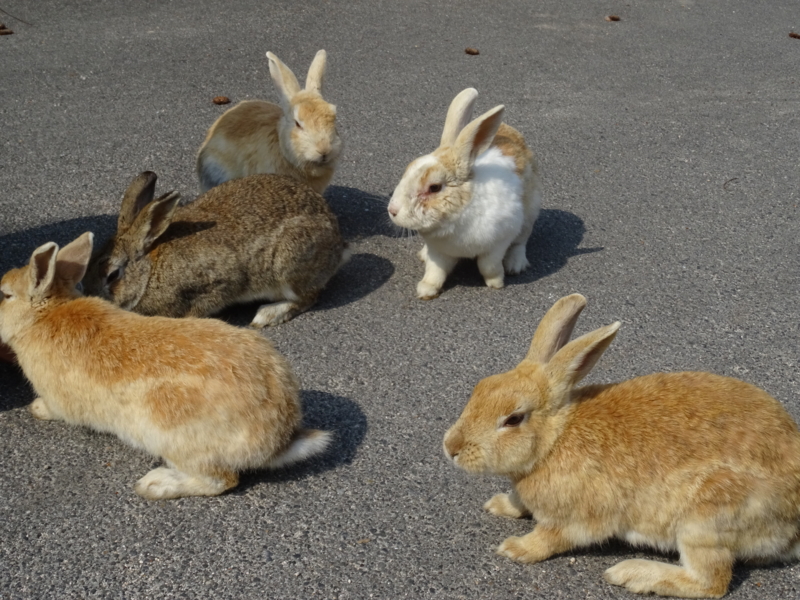 f:id:ze-ki:20140427085502j:plain