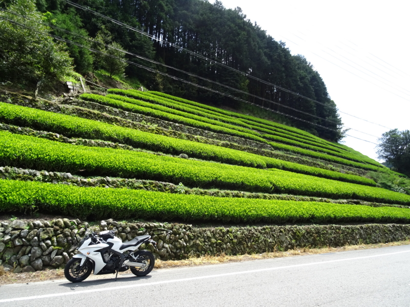 f:id:ze-ki:20150503114749j:plain