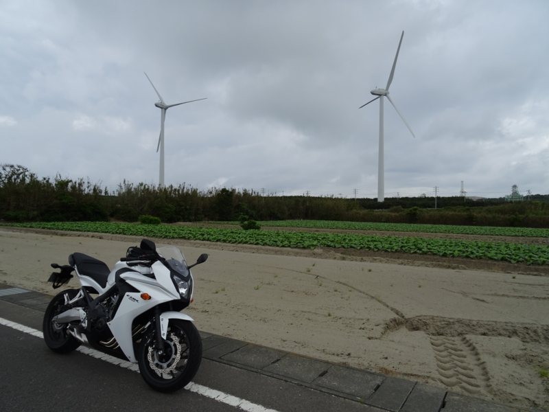 f:id:ze-ki:20150504072123j:plain