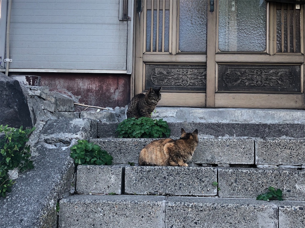 f:id:ze-ki:20200505120707j:image