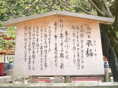 f:id:zebra6:20071013123237j:image