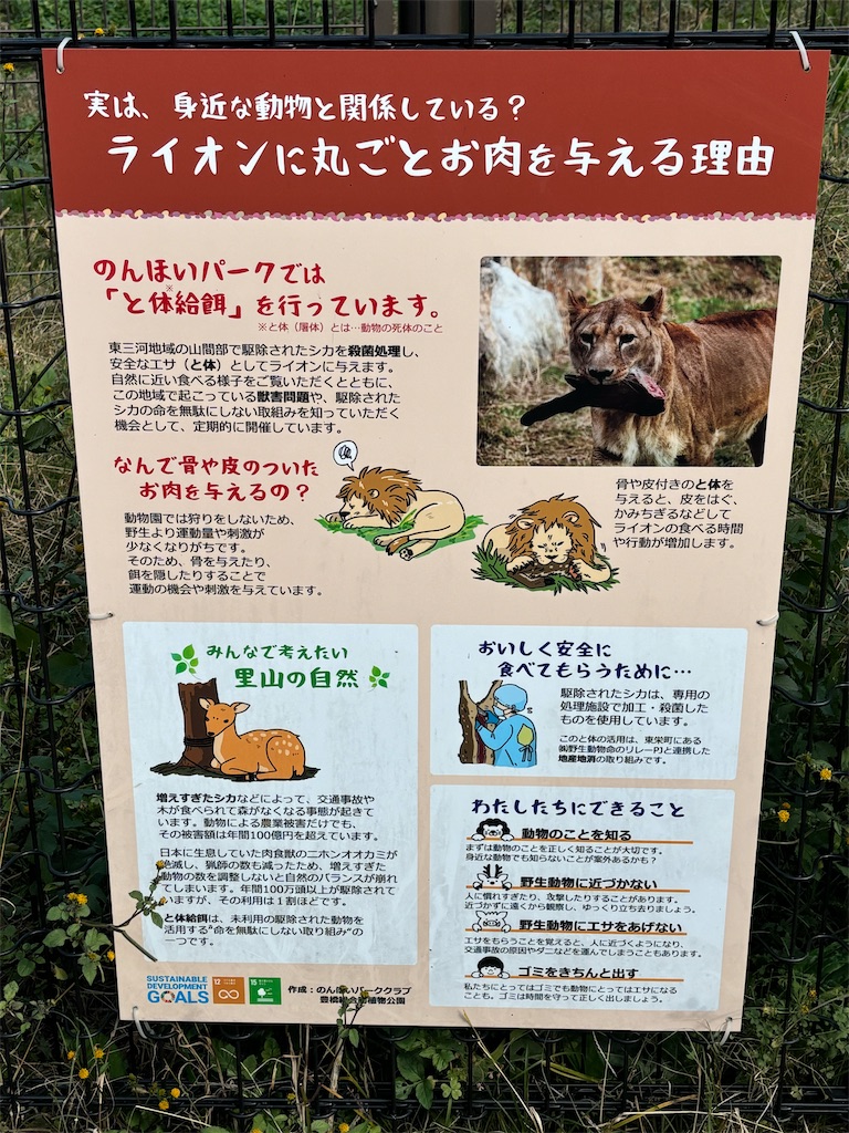 f:id:zebra_zebra:20241228221922j:image f:id:zebra_zebra:20241228221922j:image