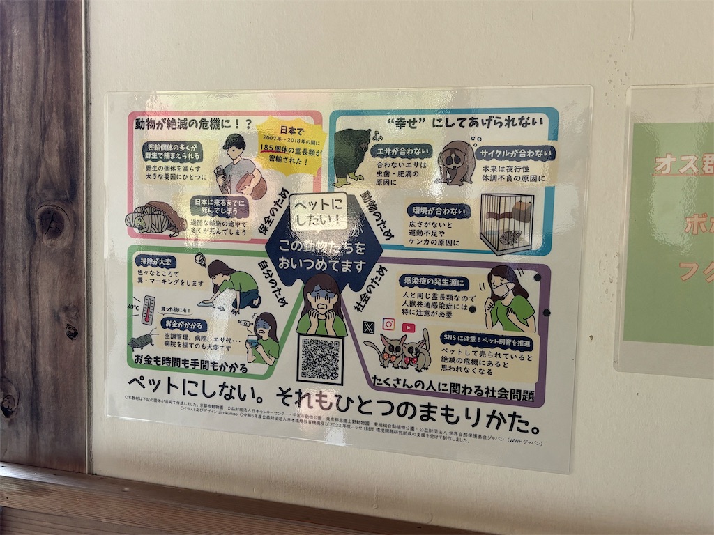f:id:zebra_zebra:20241228221927j:image f:id:zebra_zebra:20241228221927j:image