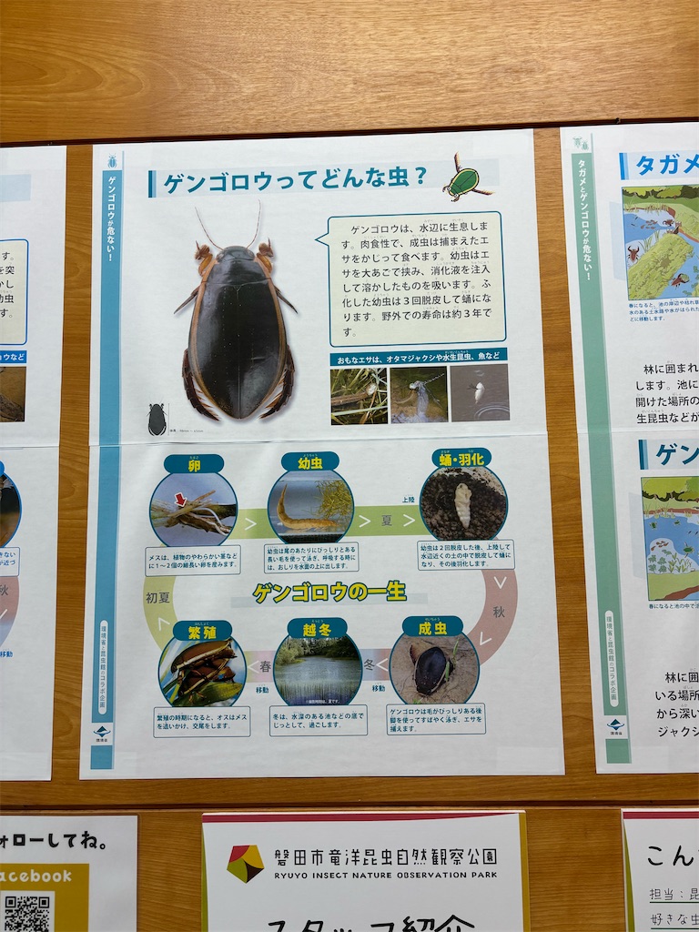 f:id:zebra_zebra:20241228222059j:image f:id:zebra_zebra:20241228222059j:image