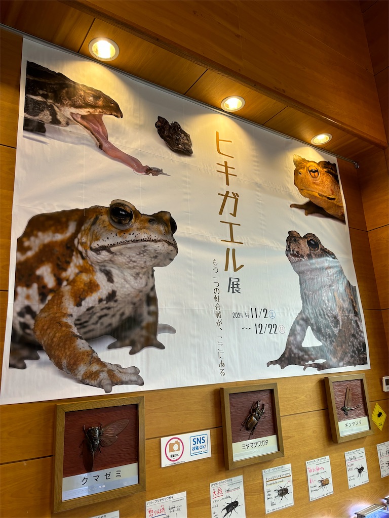 f:id:zebra_zebra:20241228222124j:image f:id:zebra_zebra:20241228222124j:image