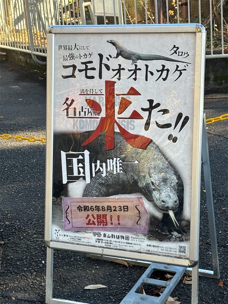 f:id:zebra_zebra:20241228222542j:image f:id:zebra_zebra:20241228222542j:image