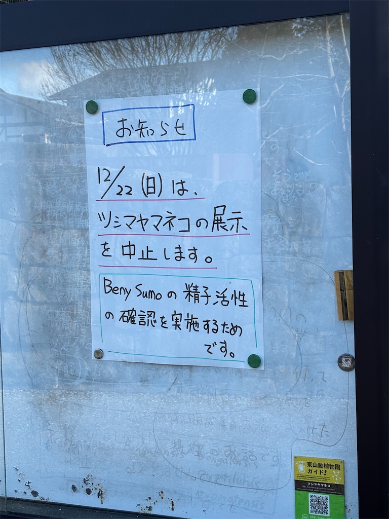 f:id:zebra_zebra:20241228222704j:image f:id:zebra_zebra:20241228222704j:image