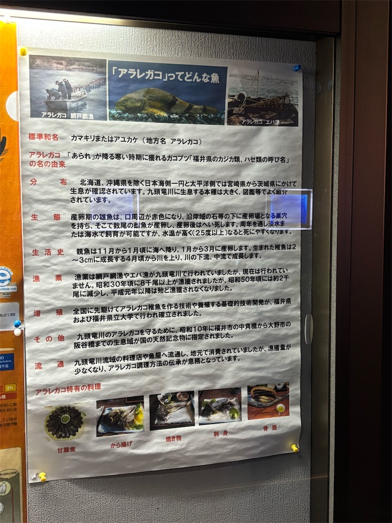 f:id:zebra_zebra:20250422220224j:image f:id:zebra_zebra:20250422220224j:image
