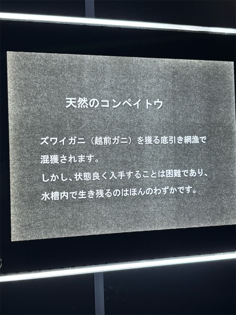 f:id:zebra_zebra:20250422220345j:image f:id:zebra_zebra:20250422220345j:image