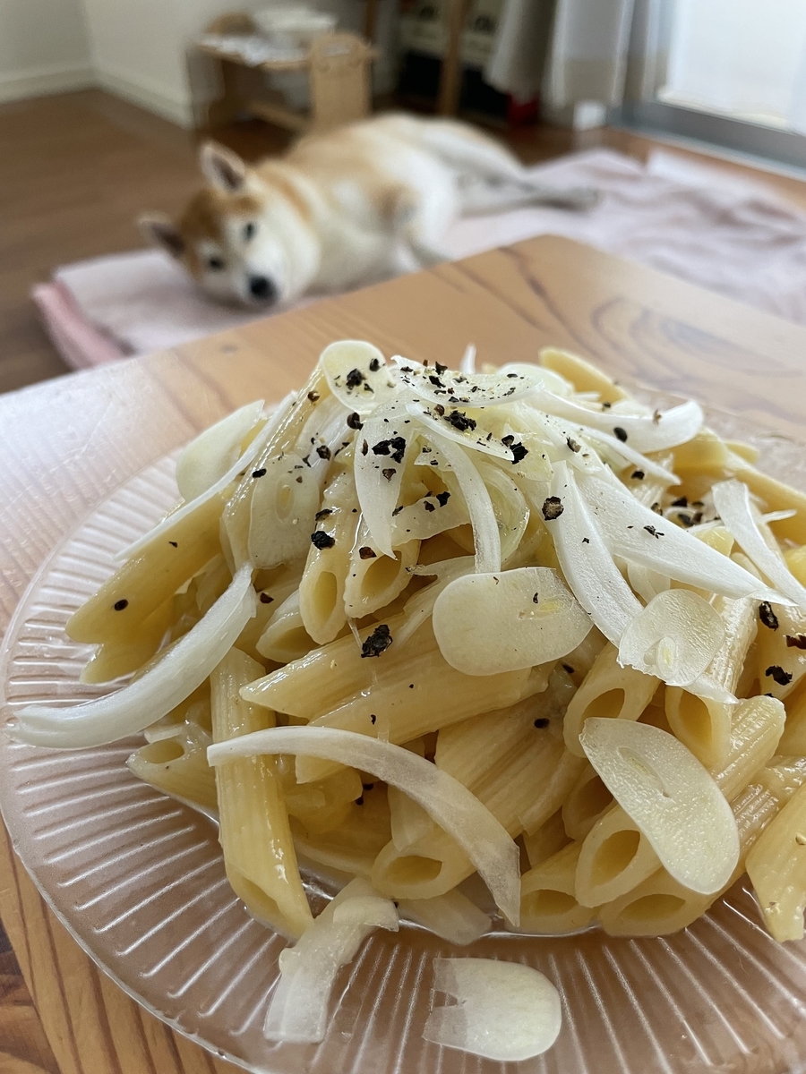 パスタと犬