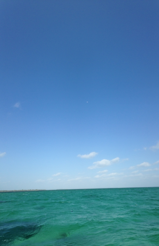 f:id:zeebratama:20141230161846j:image