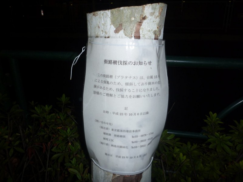 f:id:zeeed:20111209010721j:image:w300,h225,right f:id:zeeed:20111209010721j:image:w300,h225,right