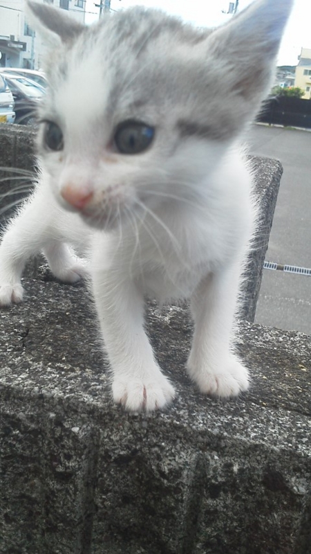 f:id:zefiro01:20120620103534j:image:w180:left f:id:zefiro01:20120620103534j:image:w180:left