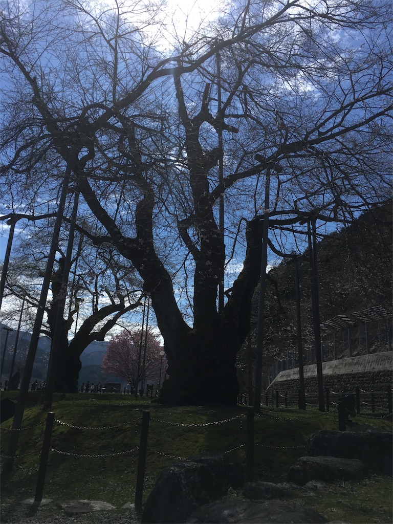 f:id:zekkei-d:20170618123807j:image