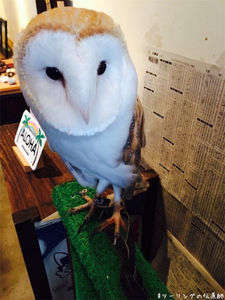 f:id:zekkei-d:20191230235510j:image f:id:zekkei-d:20191230235510j:image