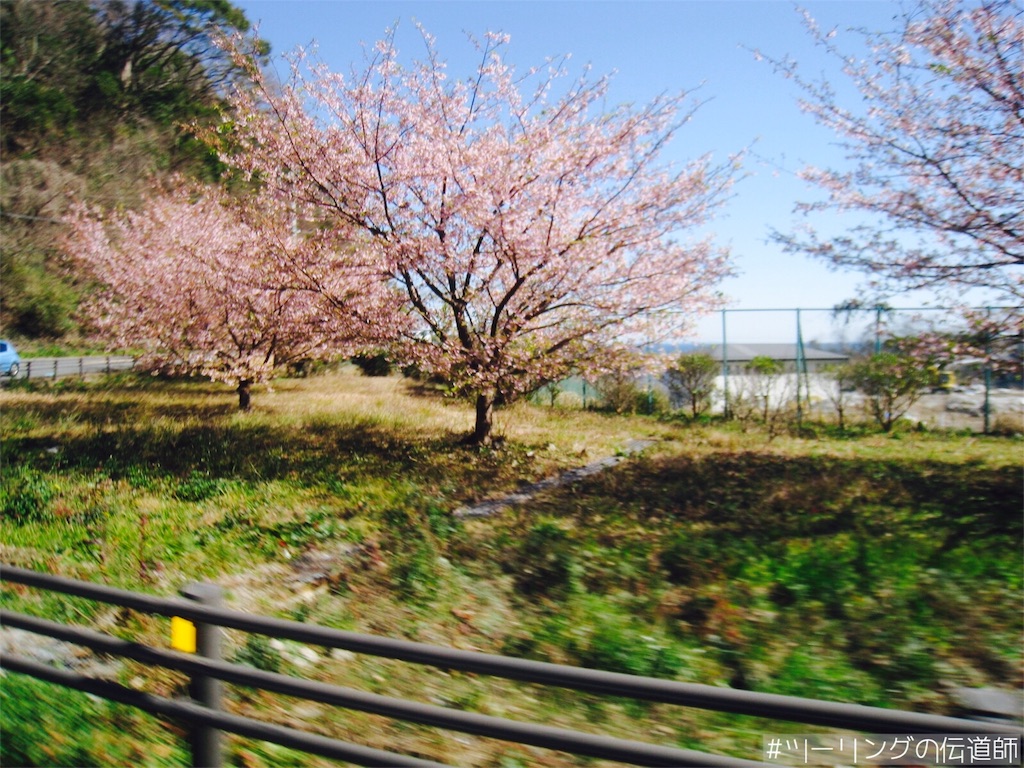 f:id:zekkei-d:20200213064649j:image f:id:zekkei-d:20200213064649j:image