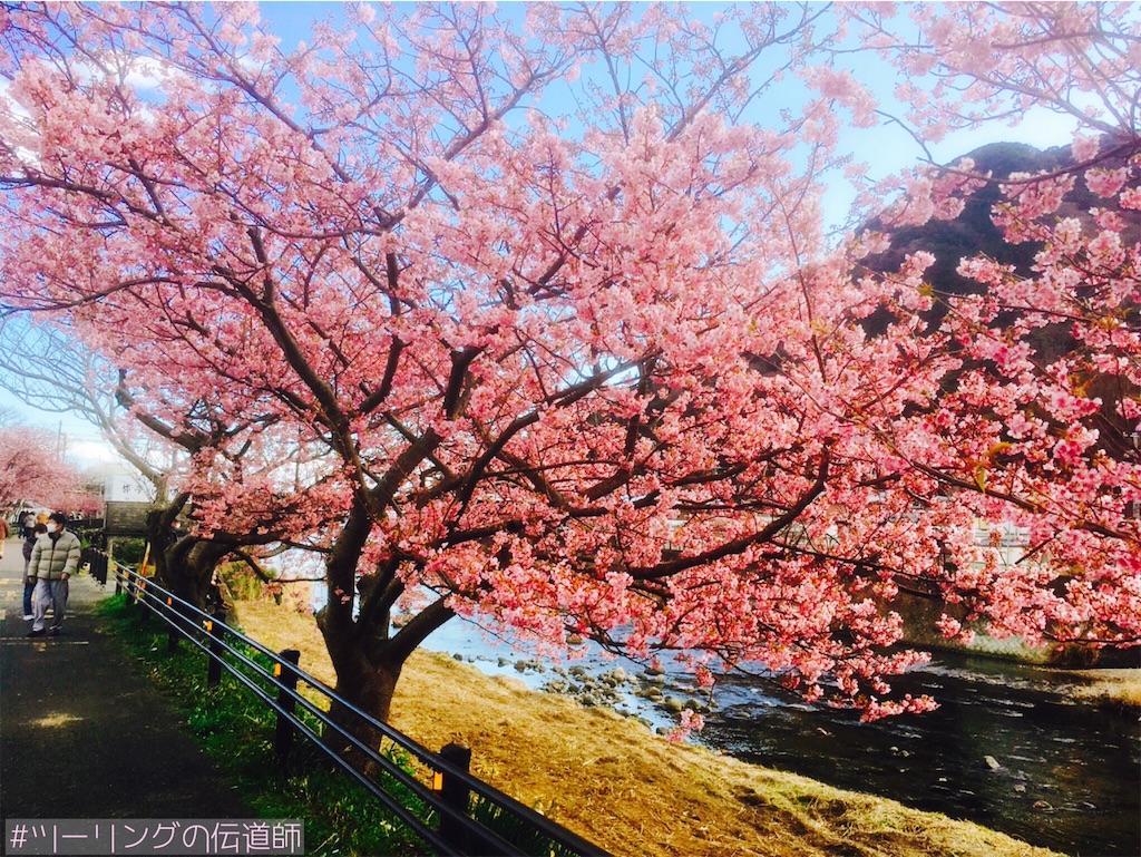 f:id:zekkei-d:20200215203328j:image f:id:zekkei-d:20200215203328j:image