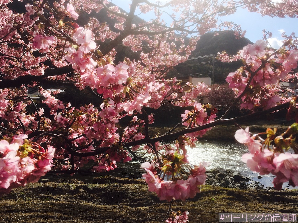 f:id:zekkei-d:20200215203344j:image f:id:zekkei-d:20200215203344j:image