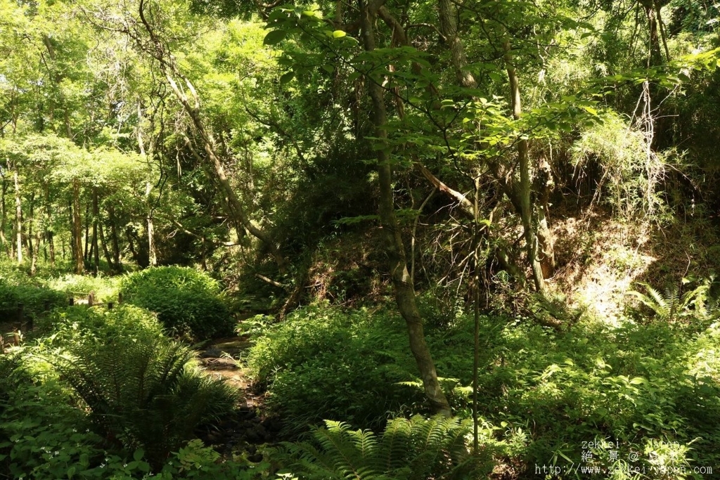 f:id:zekkei-japan:20171009113803j:plain f:id:zekkei-japan:20171009113803j:plain