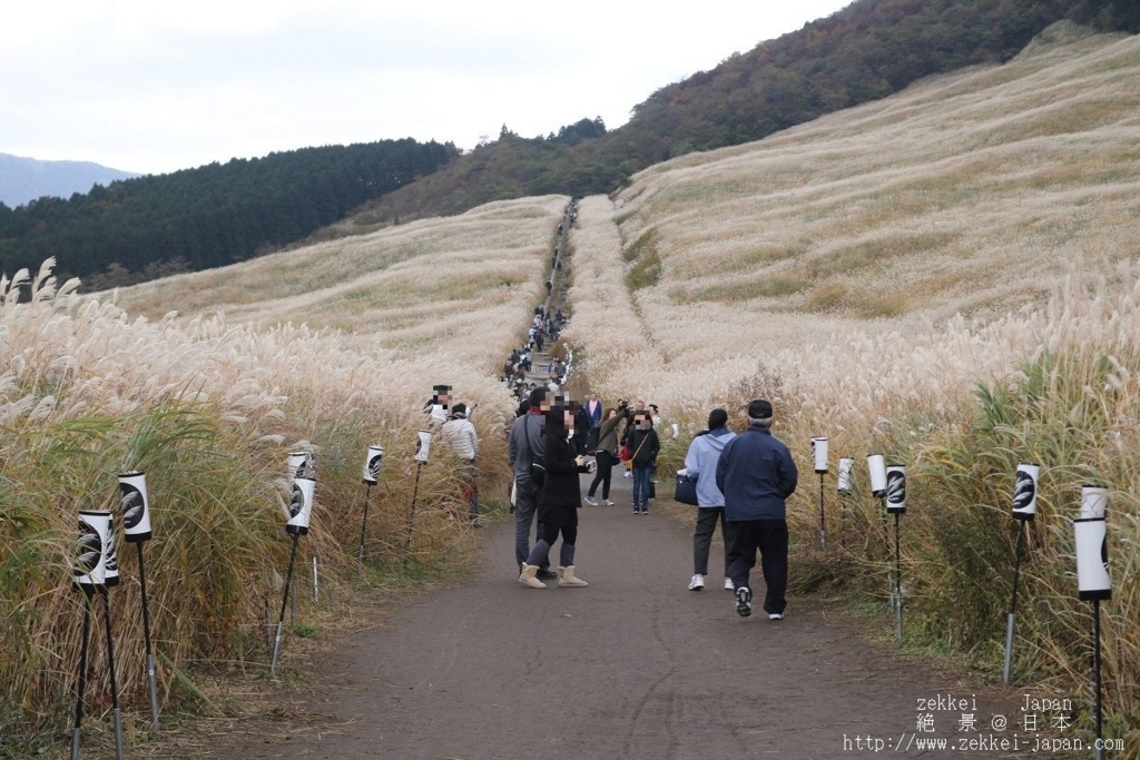 f:id:zekkei-japan:20171108224142j:plain f:id:zekkei-japan:20171108224142j:plain