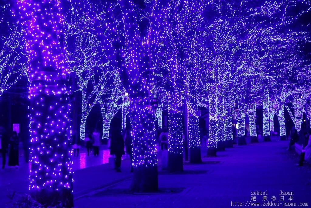 f:id:zekkei-japan:20171112052521j:plain f:id:zekkei-japan:20171112052521j:plain
