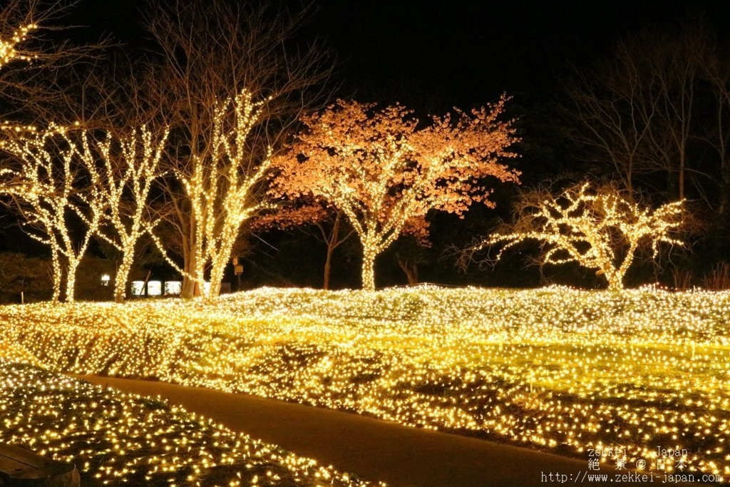 f:id:zekkei-japan:20180221211048j:plain f:id:zekkei-japan:20180221211048j:plain