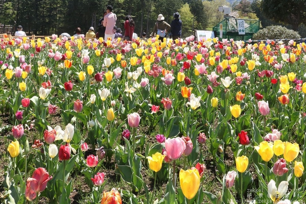 f:id:zekkei-japan:20180501185548j:plain f:id:zekkei-japan:20180501185548j:plain