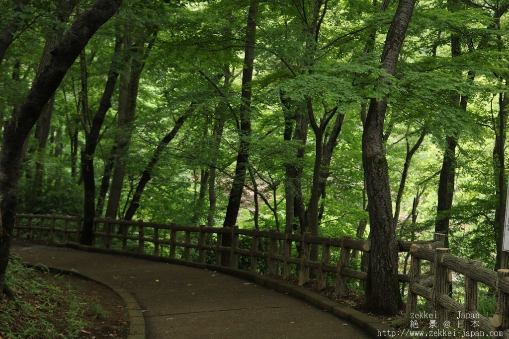 f:id:zekkei-japan:20180611050914j:plain f:id:zekkei-japan:20180611050914j:plain