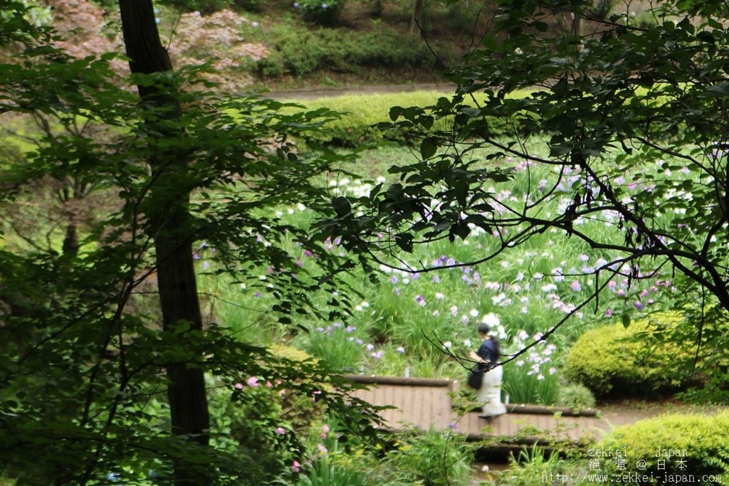 f:id:zekkei-japan:20180611050916j:plain f:id:zekkei-japan:20180611050916j:plain