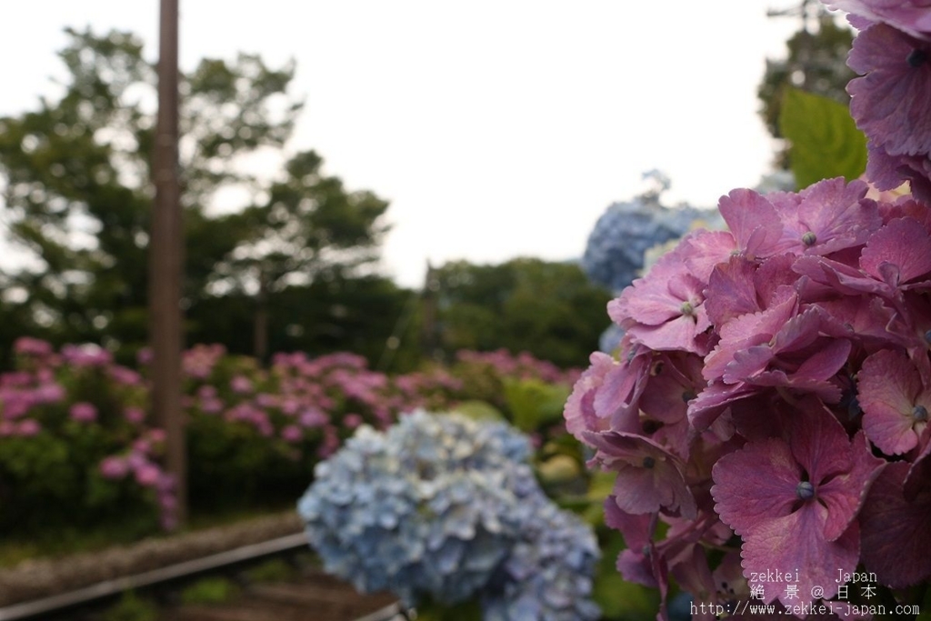 f:id:zekkei-japan:20180624183116j:plain f:id:zekkei-japan:20180624183116j:plain