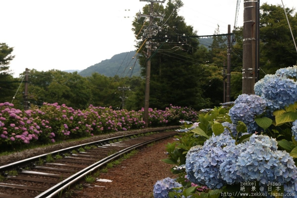 f:id:zekkei-japan:20180624183209j:plain f:id:zekkei-japan:20180624183209j:plain