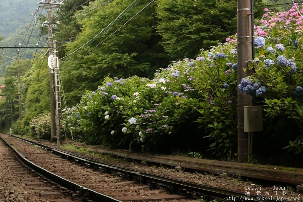 f:id:zekkei-japan:20180624192053j:plain f:id:zekkei-japan:20180624192053j:plain