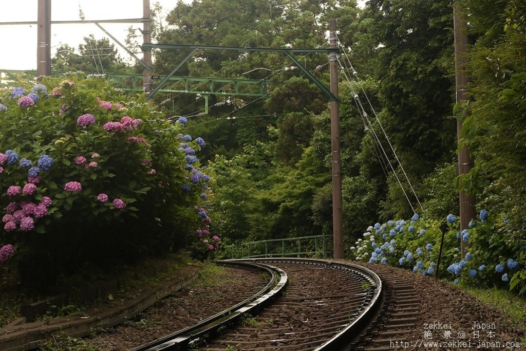 f:id:zekkei-japan:20180624192057j:plain f:id:zekkei-japan:20180624192057j:plain