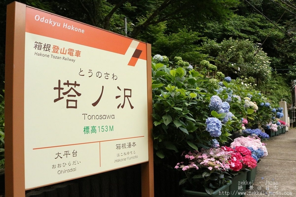 f:id:zekkei-japan:20180624200922j:plain f:id:zekkei-japan:20180624200922j:plain