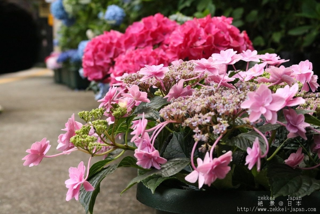 f:id:zekkei-japan:20180624200923j:plain f:id:zekkei-japan:20180624200923j:plain
