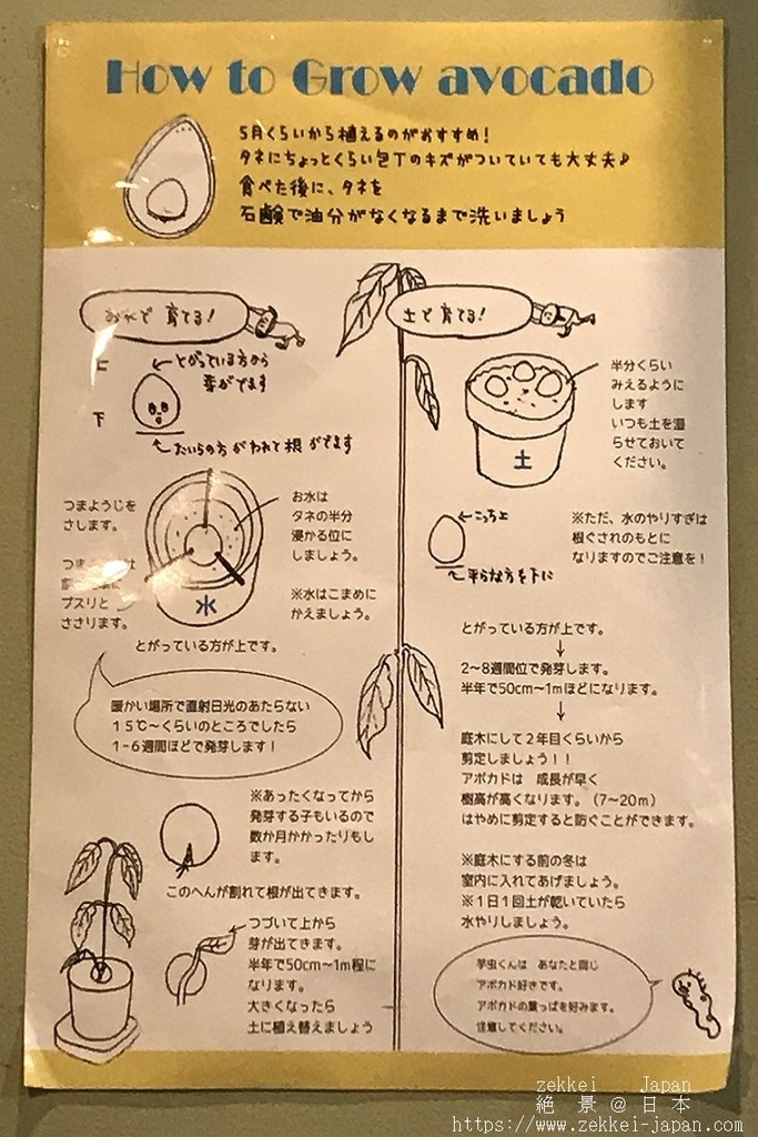f:id:zekkei-japan:20181021201336j:plain f:id:zekkei-japan:20181021201336j:plain